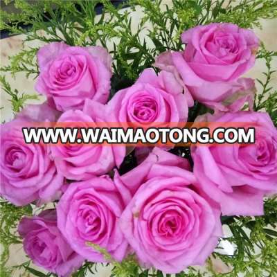 Export fresh cut rose flowers from Kunming of China