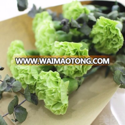 Supply high quality long stem flowers fresh cut green carnation flower prices from Kunming