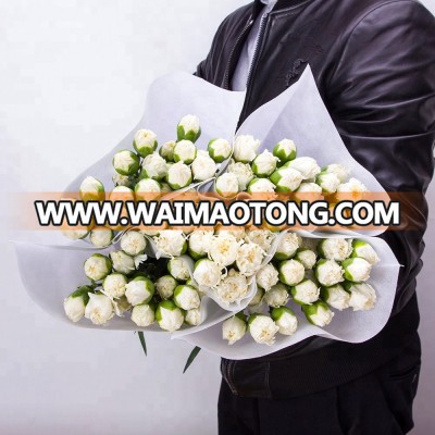 High quality white carnation from Yunnan China