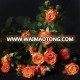 best orange roses fresh cut flowers export for sale