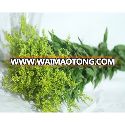 High quality Natural fesh cut Oriole flower grass whosale