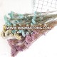 China products excellent quality dried flower bouquet for gift colorful dried flower